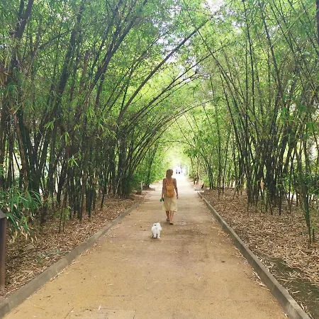 Home2book Charming Cruz Views Διαμέρισμα