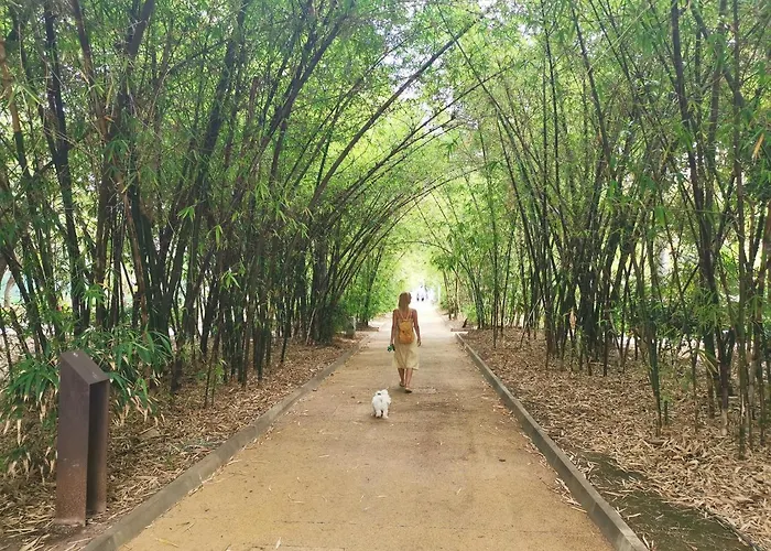 Home2book Charming Cruz Views 아파트