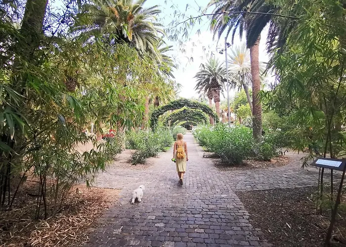 Home2book Charming Cruz Views Lägenhet Santa Cruz de Tenerife