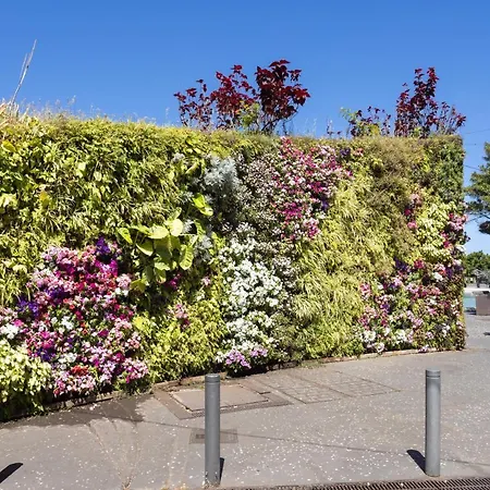 Home2book Charming Cruz Views * Santa Cruz de Tenerife