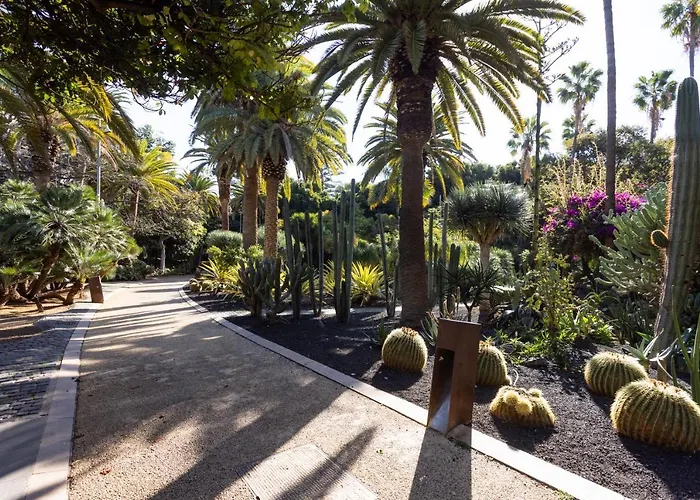 Home2book Charming Cruz Views * Santa Cruz de Tenerife